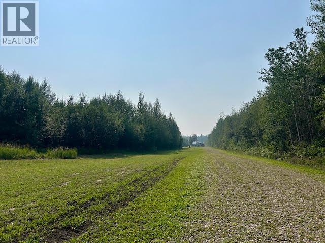 319 Alaska Highway, Fort Nelson, British Columbia  V0C 1R0 - Photo 18 - R3144848