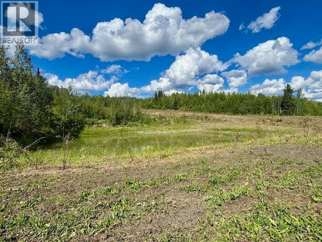 319 Alaska Highway, Fort Nelson, British Columbia  V0C 1R0 - Photo 16 - R3144848