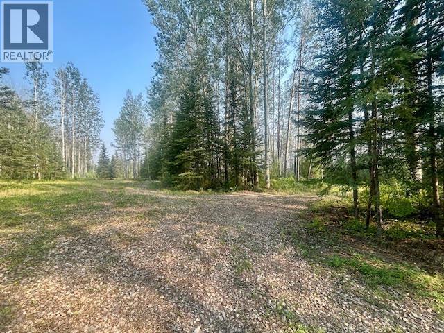 319 Alaska Highway, Fort Nelson, British Columbia  V0C 1R0 - Photo 25 - R3144848