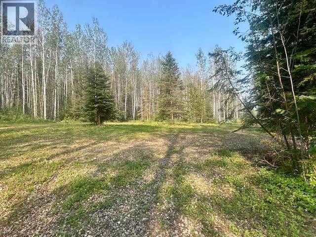 319 Alaska Highway, Fort Nelson, British Columbia  V0C 1R0 - Photo 24 - R3144848