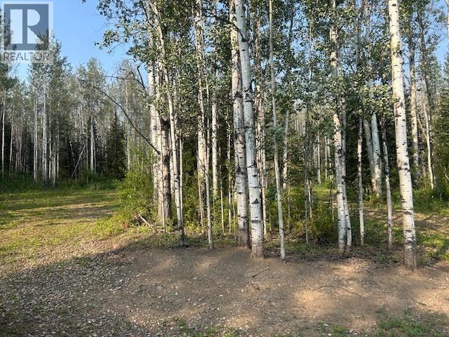 319 Alaska Highway, Fort Nelson, British Columbia  V0C 1R0 - Photo 23 - R3144848