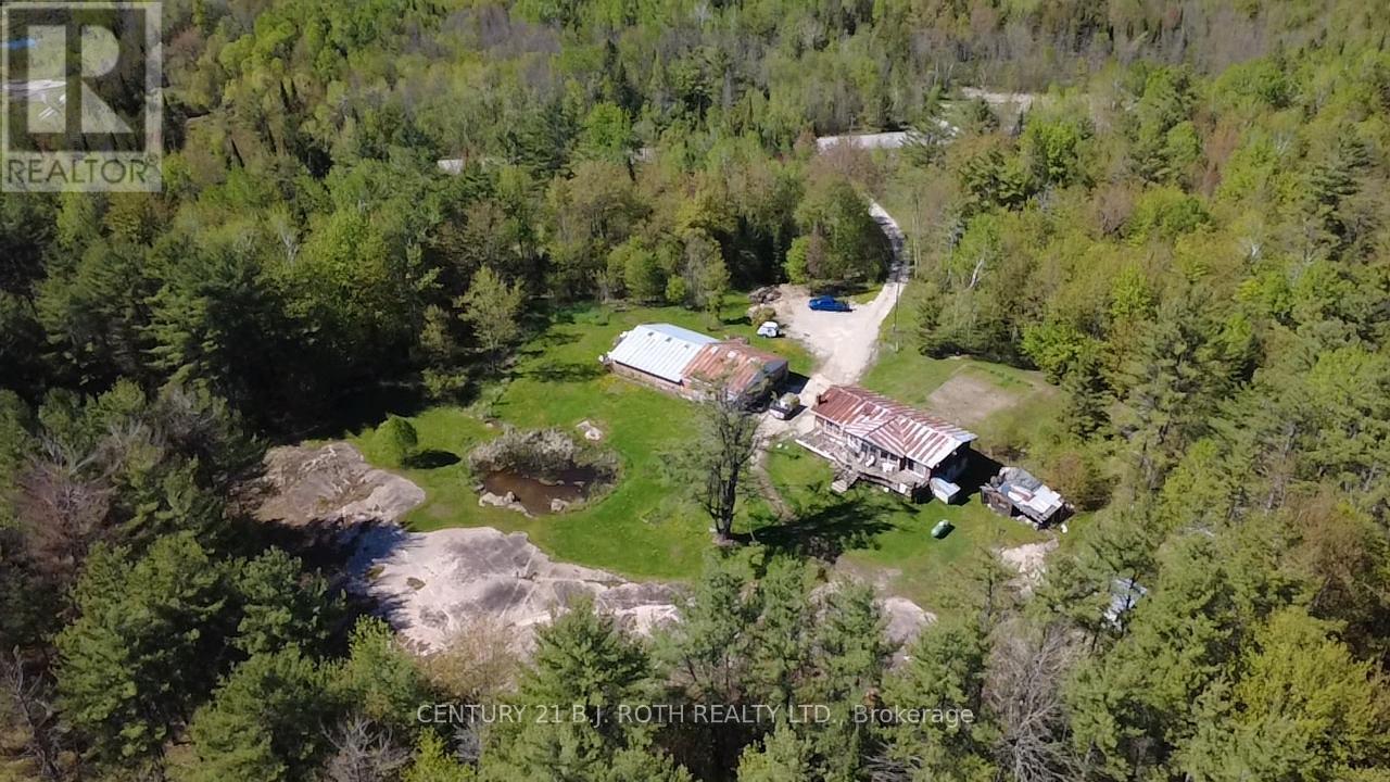 444 Monck Road, Kawartha Lakes (Dalton), Ontario  L0K 1W0 - Photo 5 - X13597536