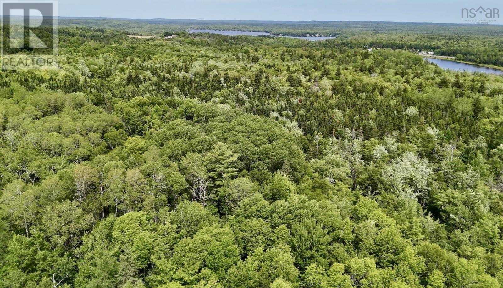 Lot 10 Jones Road, Murphy Lake, Nova Scotia  B4N 3V8 - Photo 15 - 202618409