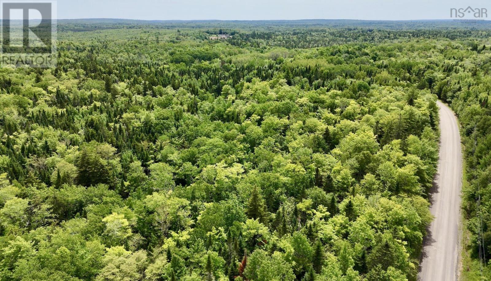 Lot 10 Jones Road, Murphy Lake, Nova Scotia  B4N 3V8 - Photo 12 - 202618409