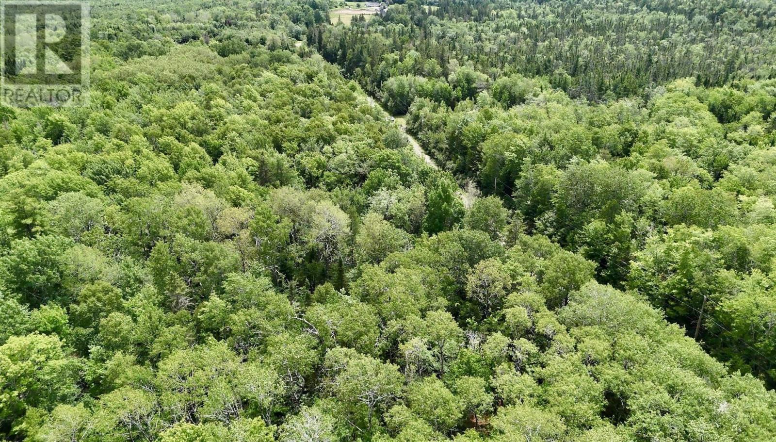Lot 10 Jones Road, Murphy Lake, Nova Scotia  B4N 3V8 - Photo 13 - 202618409