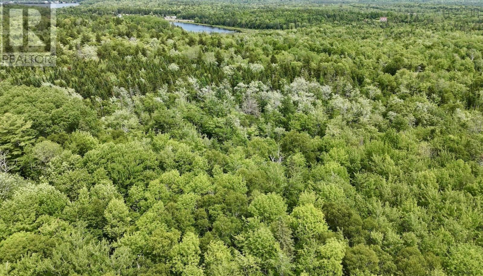 Lot 10 Jones Road, Murphy Lake, Nova Scotia  B4N 3V8 - Photo 14 - 202618409