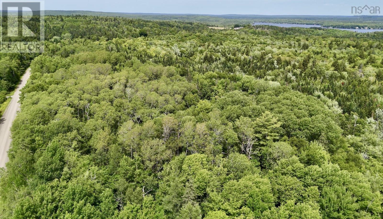 Lot 10 Jones Road, Murphy Lake, Nova Scotia  B4N 3V8 - Photo 16 - 202618409