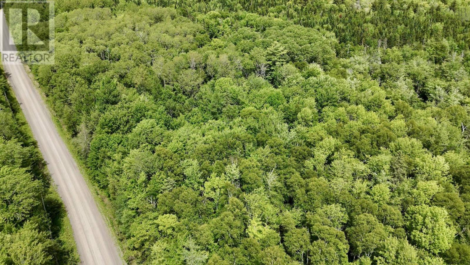 Lot 10 Jones Road, Murphy Lake, Nova Scotia  B4N 3V8 - Photo 5 - 202618409