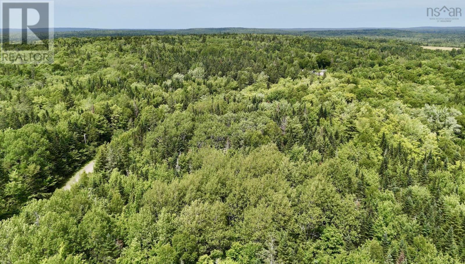 Lot 10 Jones Road, Murphy Lake, Nova Scotia  B4N 3V8 - Photo 9 - 202618409
