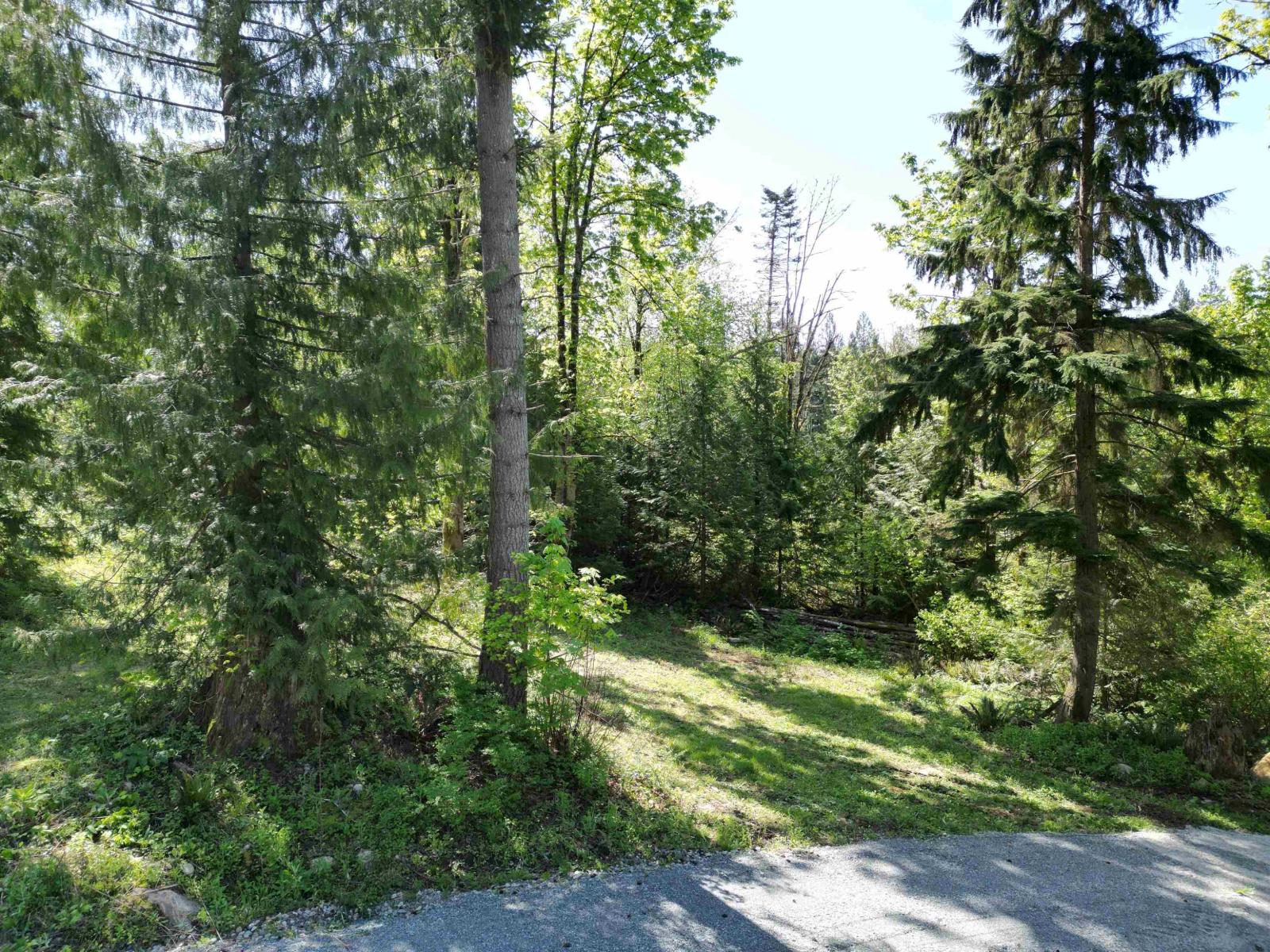 44115 Malcolm Road, Mission, British Columbia V0M 1N0 - Photo 12 - R3148187