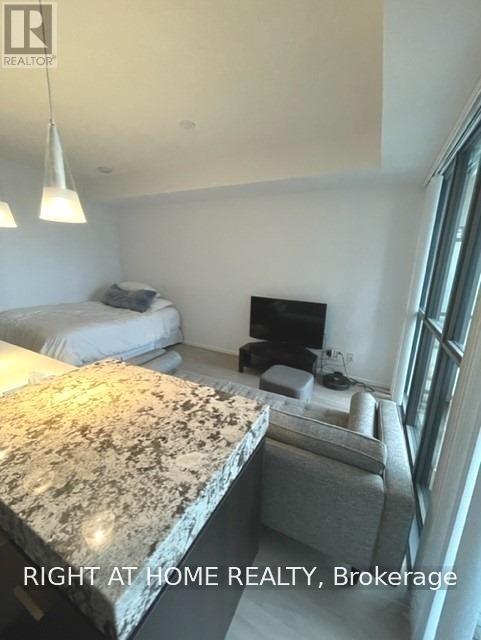 2409 - 101 Charles Street E, Toronto, Ontario  M4Y 0A9 - Photo 13 - C13598202