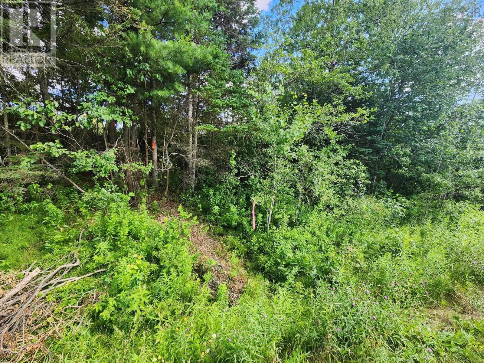 Lot Highway 236, Kennetcook, Nova Scotia  B0N 1P0 - Photo 5 - 202618168