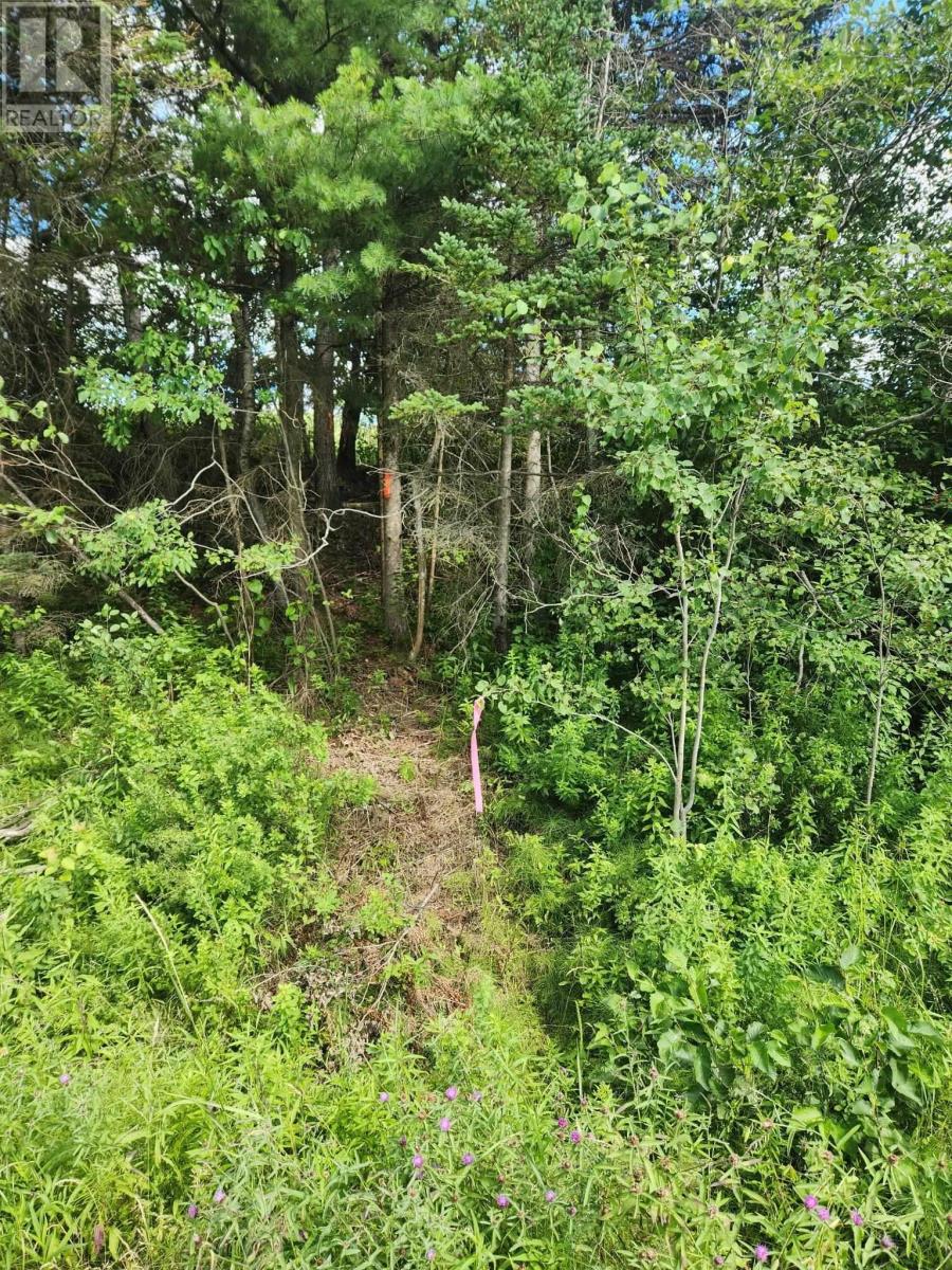 Lot Highway 236, Kennetcook, Nova Scotia  B0N 1P0 - Photo 6 - 202618168