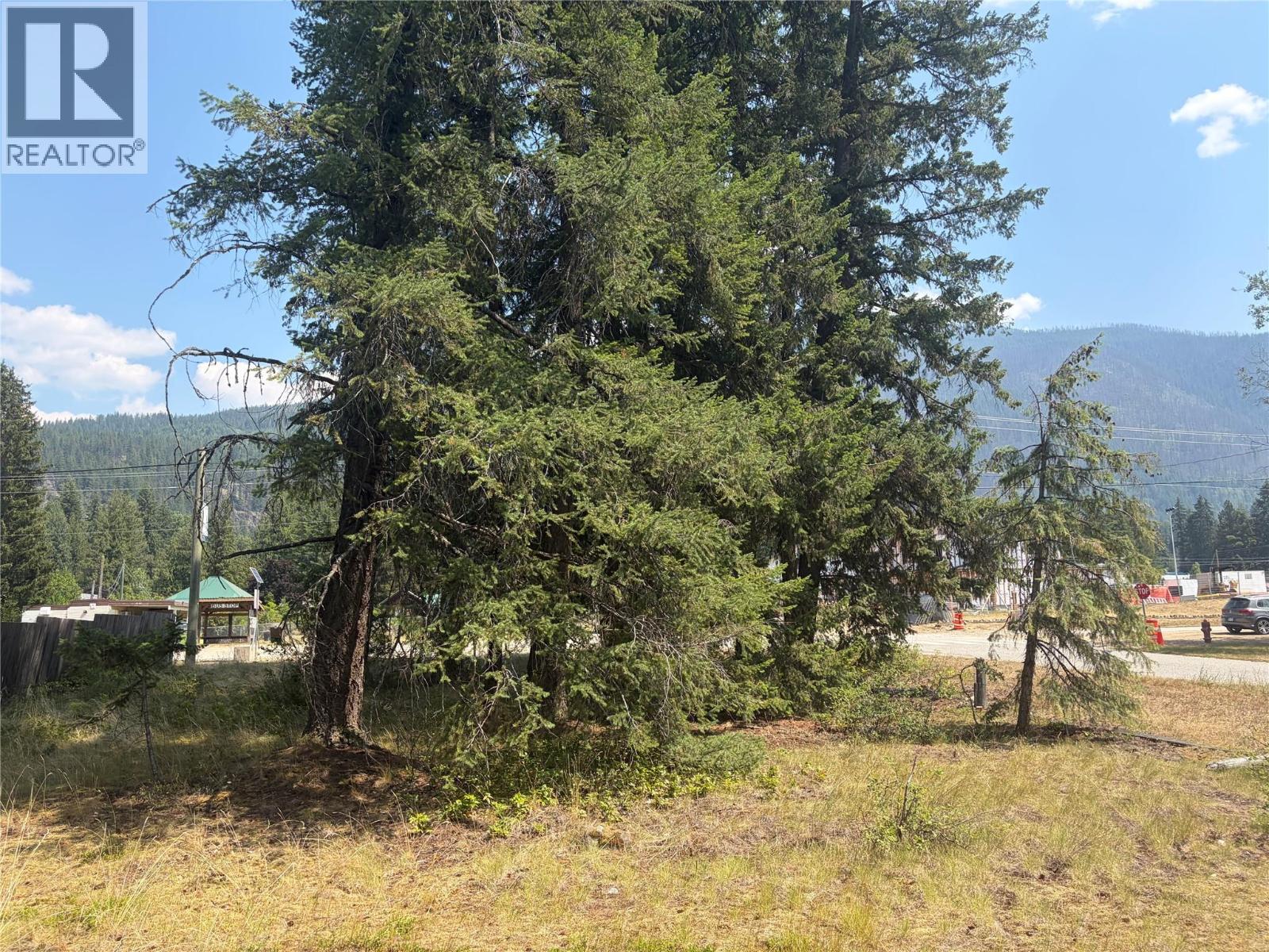 Harold Street Lot# 11&12, Slocan, British Columbia  V0G 2C0 - Photo 6 - 10395555