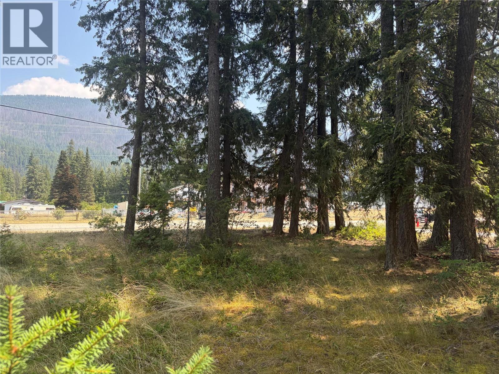 Harold Street Lot# 11&12, Slocan, British Columbia  V0G 2C0 - Photo 7 - 10395555