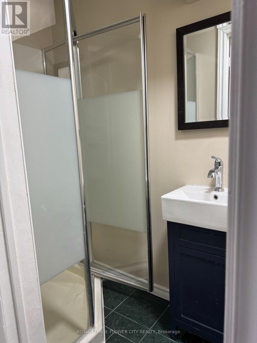 Basement - 5435 Richmeadow Mews, Mississauga, Ontario  L4Z 3T5 - Photo 20 - W13595430