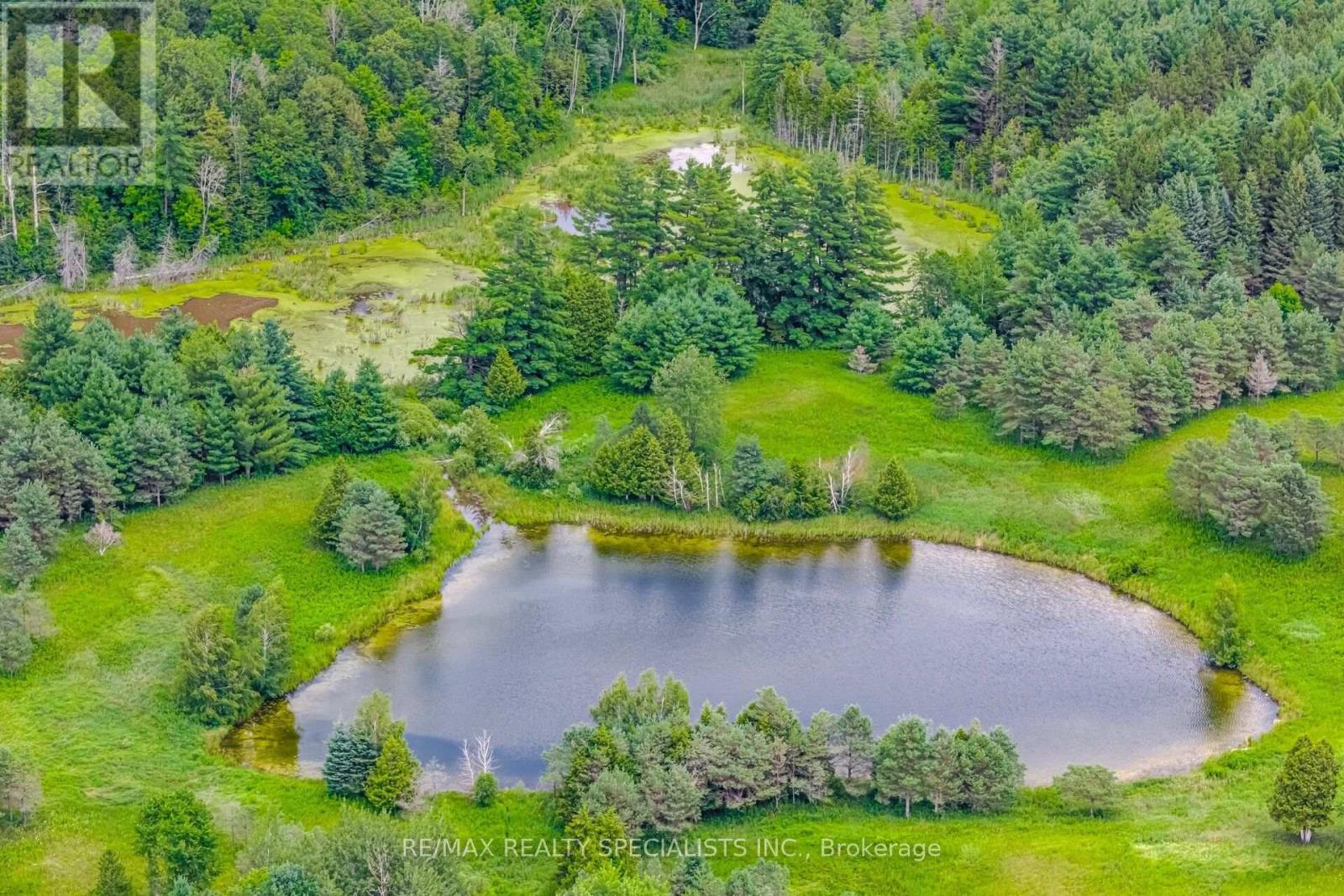 15441 Mount Pleasant Road, Caledon, Ontario  L7E 3N2 - Photo 17 - W13597548