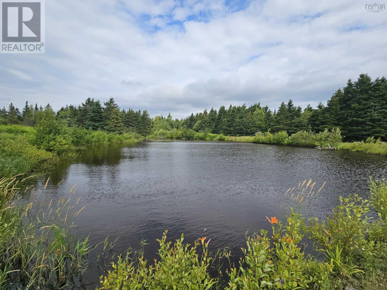 1807 Highway 326, East Earltown, Nova Scotia  B0K 1V0 - Photo 6 - 202617586