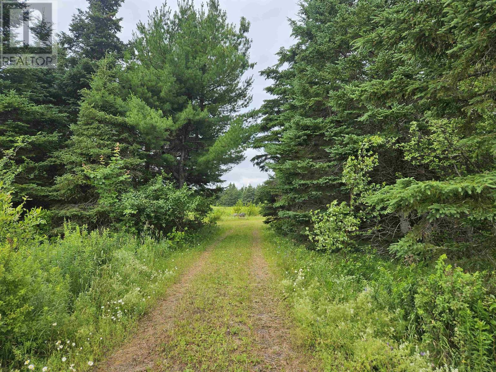 1807 Highway 326, East Earltown, Nova Scotia  B0K 1V0 - Photo 8 - 202617586