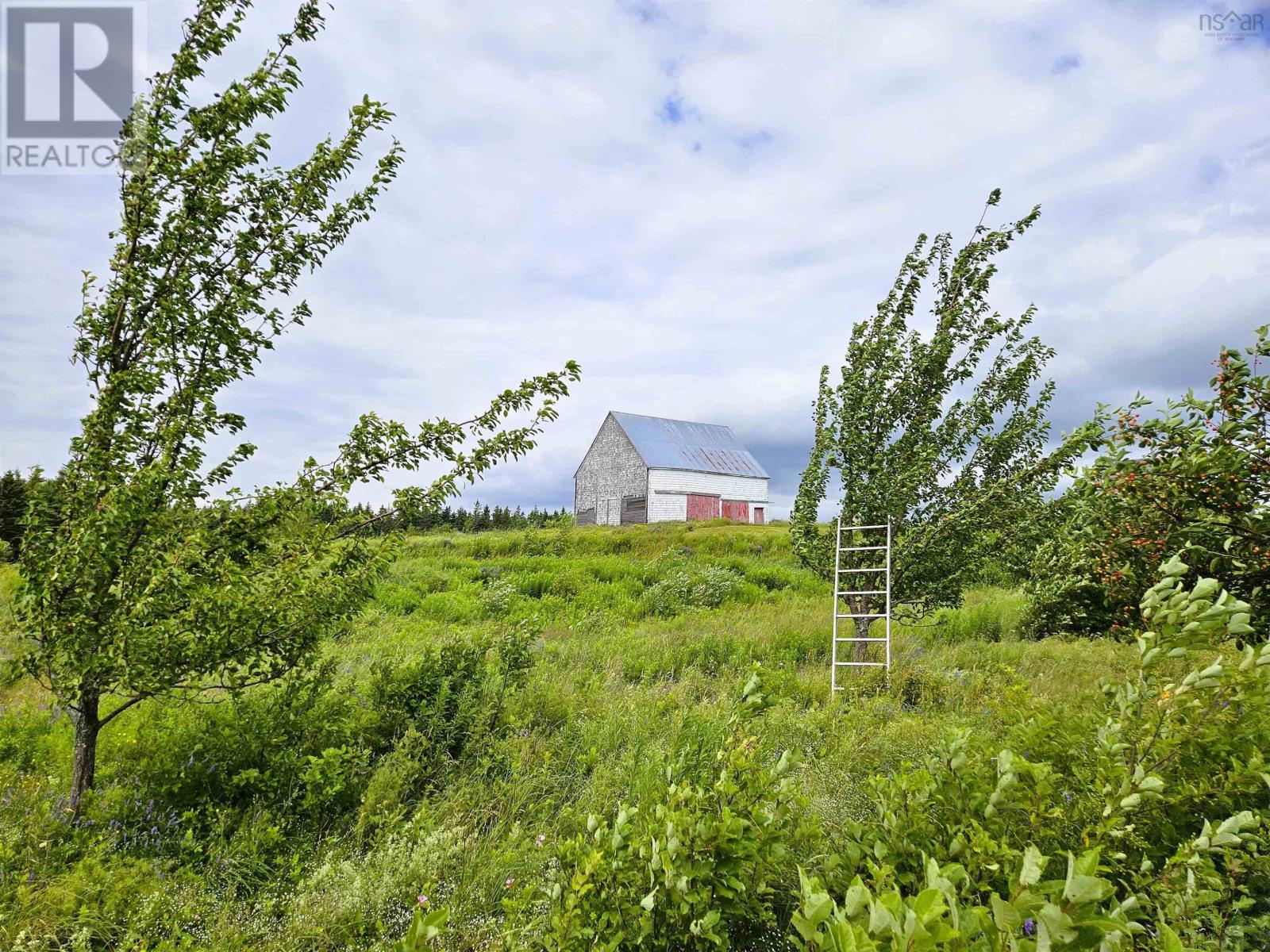1807 Highway 326, East Earltown, Nova Scotia  B0K 1V0 - Photo 4 - 202617586