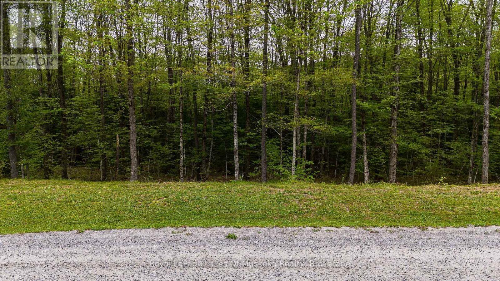 Lot 11 Millie's Way, Armour, Ontario  P0A 1C0 - Photo 14 - X13596594