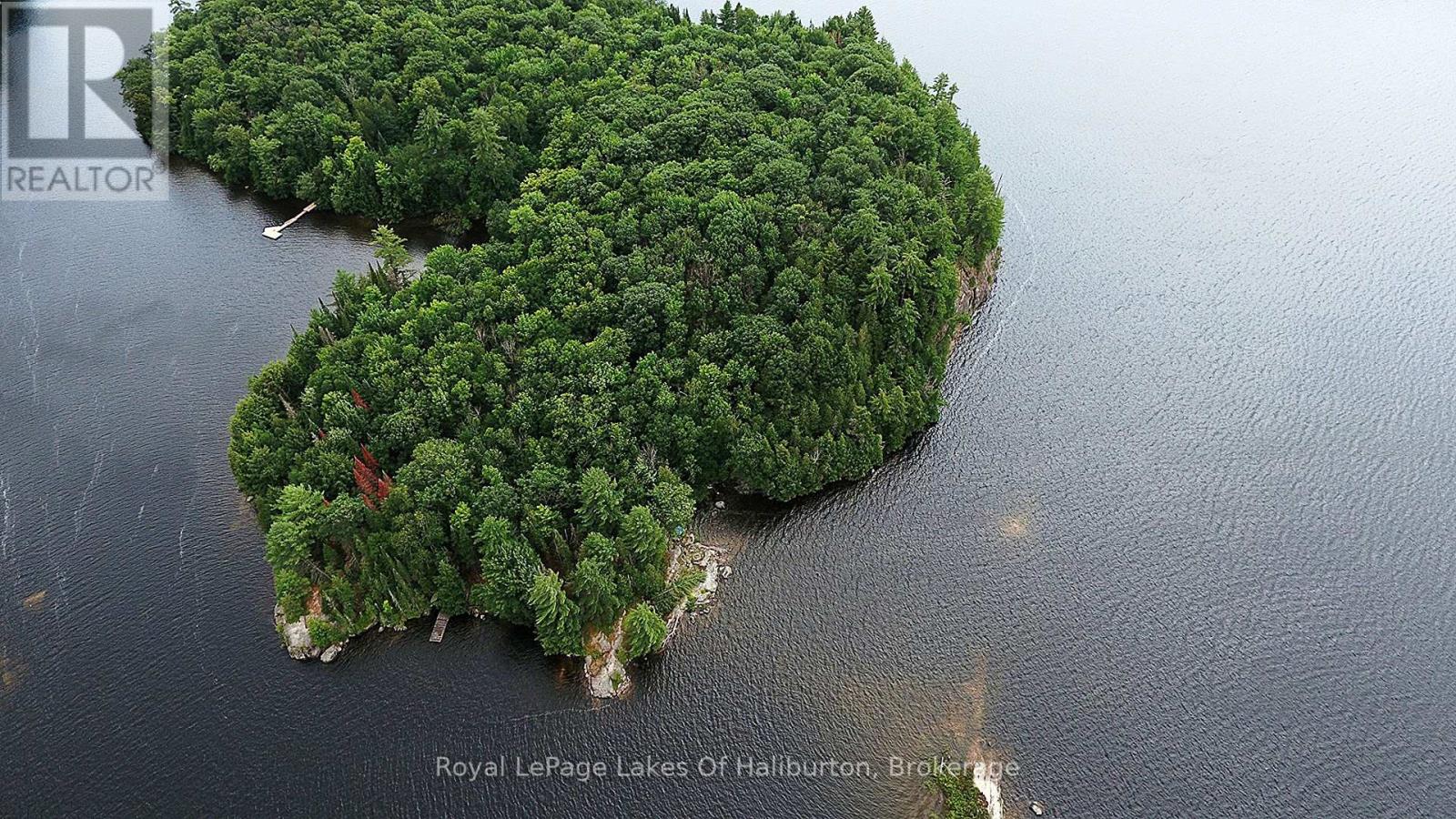 11440 Kushog Lake Wao Island, Algonquin Highlands (Stanhope), Ontario  K0M 1S0 - Photo 10 - X13599192