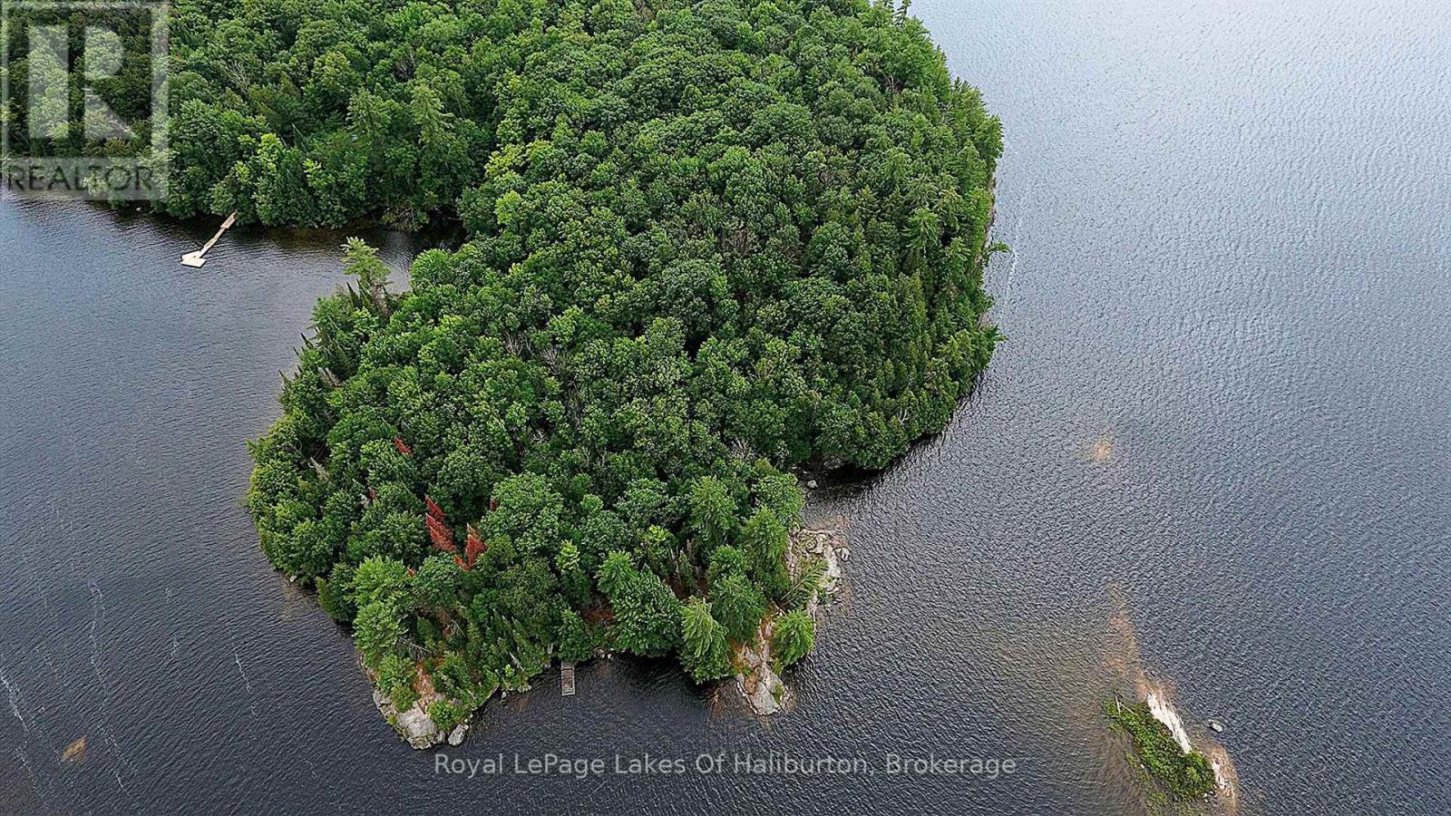 11440 Kushog Lake Wao Island, Algonquin Highlands (Stanhope), Ontario  K0M 1S0 - Photo 3 - X13599192