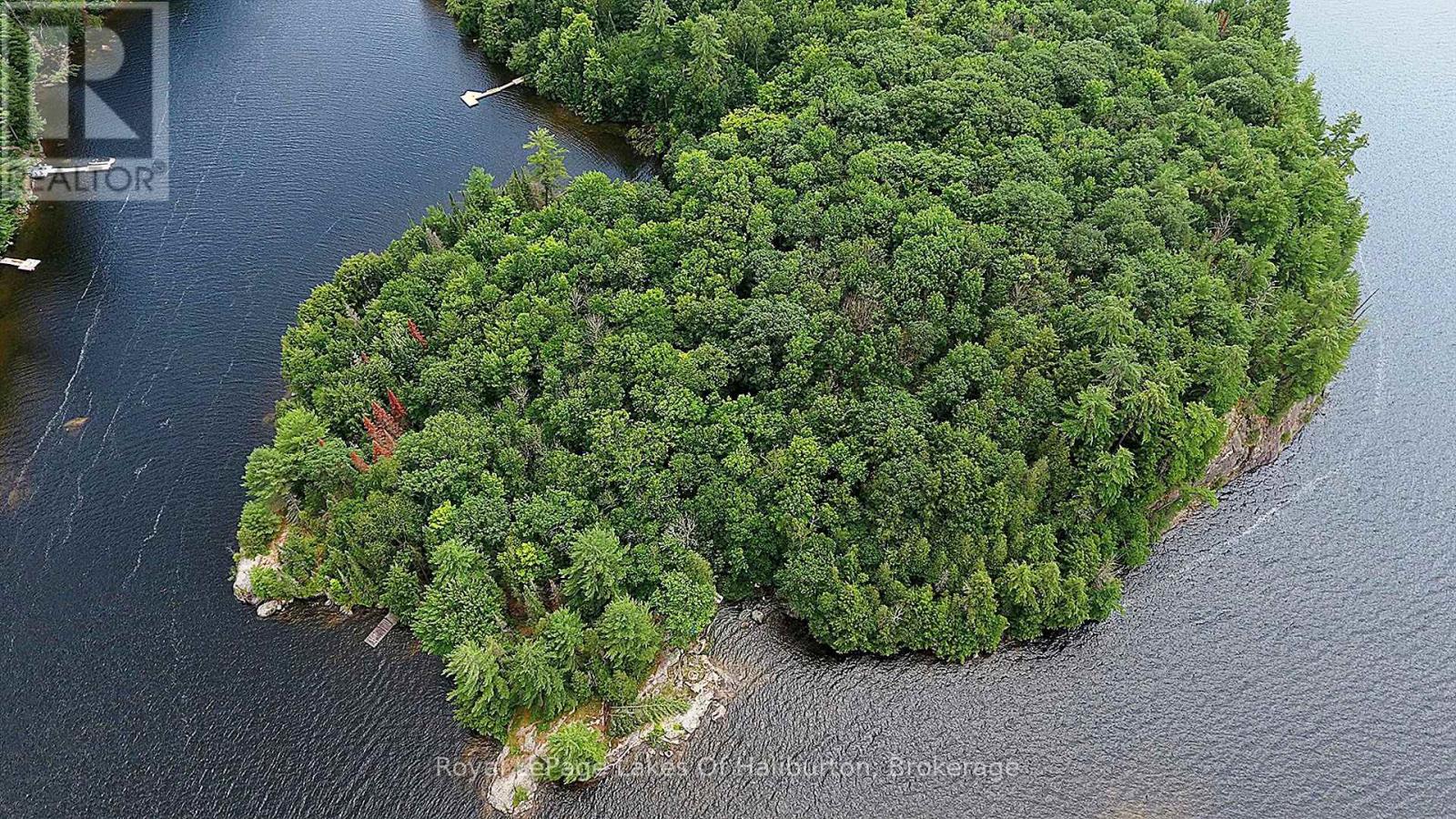 11440 Kushog Lake Wao Island, Algonquin Highlands (Stanhope), Ontario  K0M 1S0 - Photo 6 - X13599192