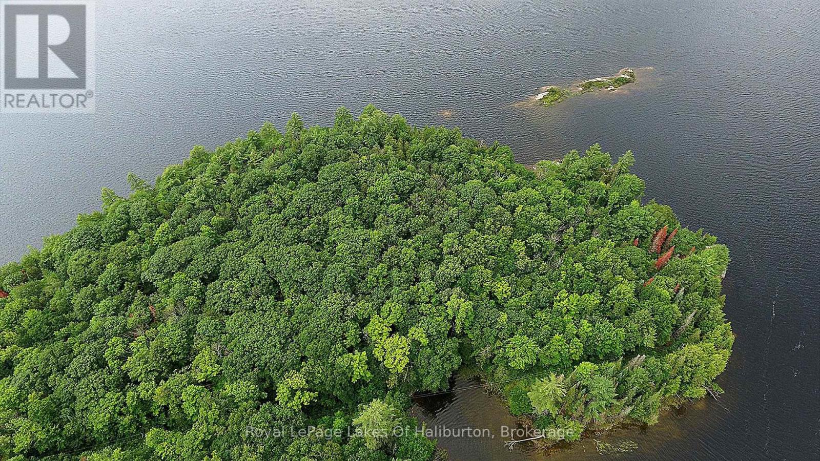 11440 Kushog Lake Wao Island, Algonquin Highlands (Stanhope), Ontario  K0M 1S0 - Photo 7 - X13599192