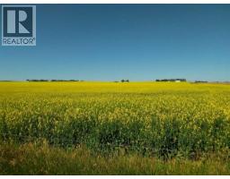 4;22;9;14; SW,SE, Rural Lethbridge County, Alberta