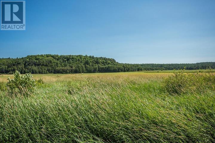 875 Lake George Rd E, Laird Township, Echo Bay, Ontario  P0S 1C0 - Photo 35 - SM261950