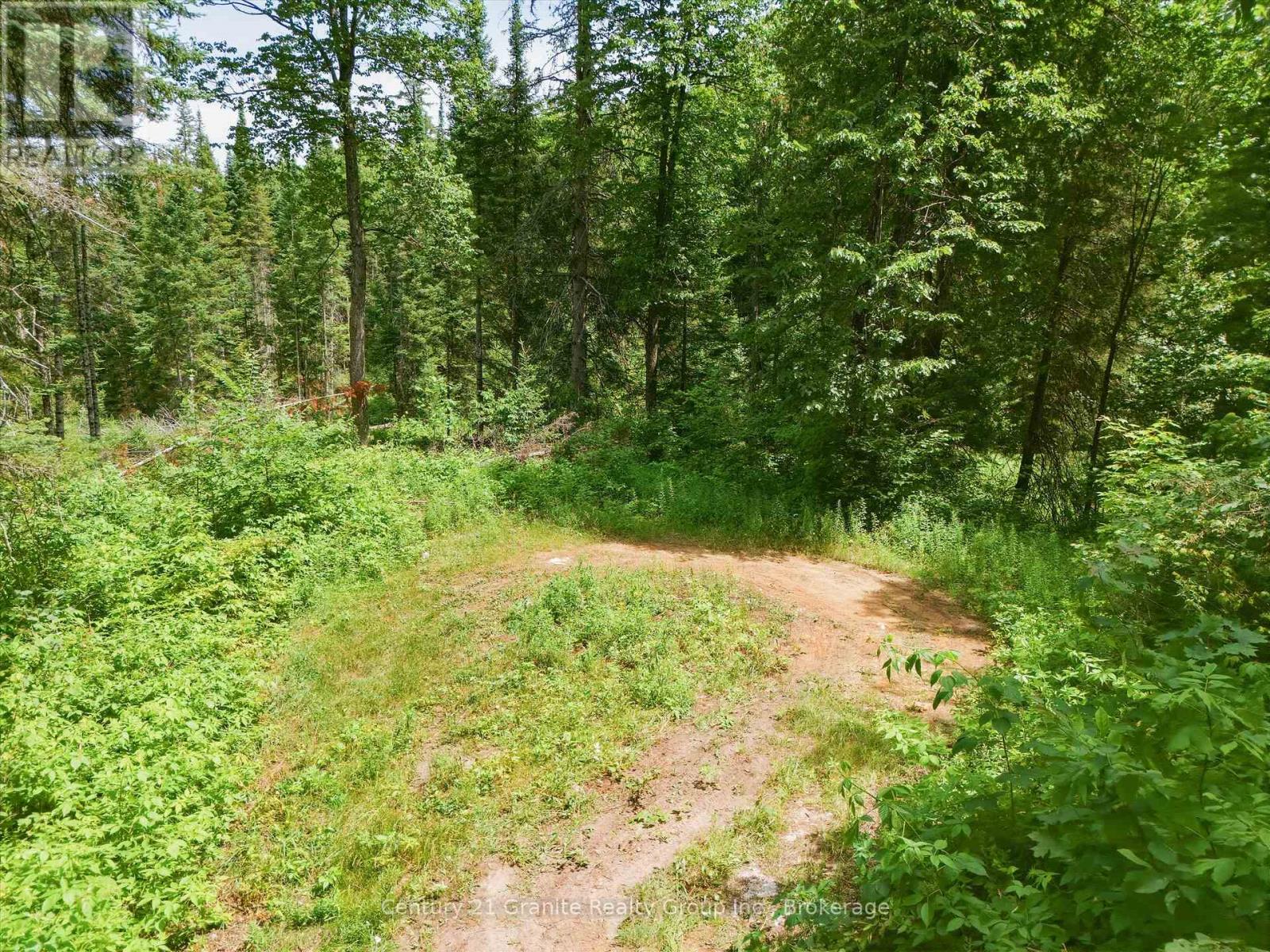 1230 Old Donald Road, Dysart Et Al, Ontario  K0M 1S0 - Photo 10 - X13599722