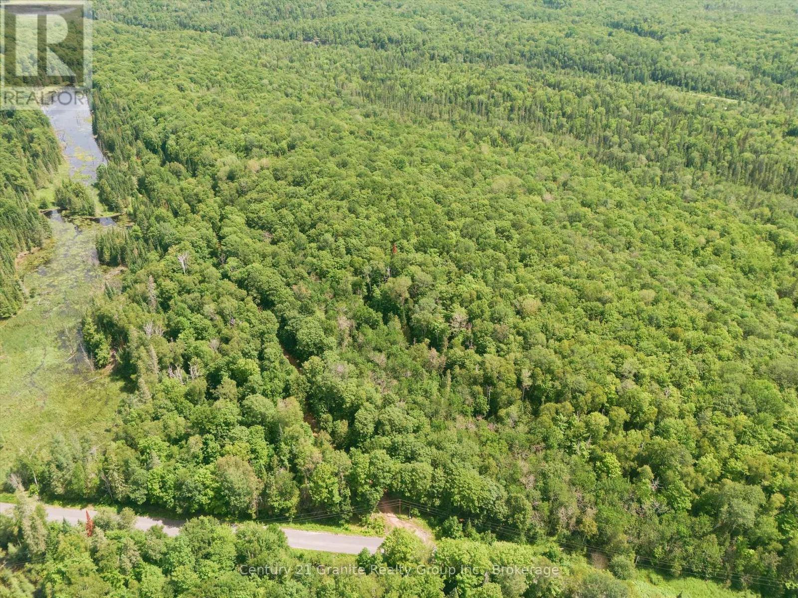 1230 Old Donald Road, Dysart Et Al, Ontario  K0M 1S0 - Photo 11 - X13599722
