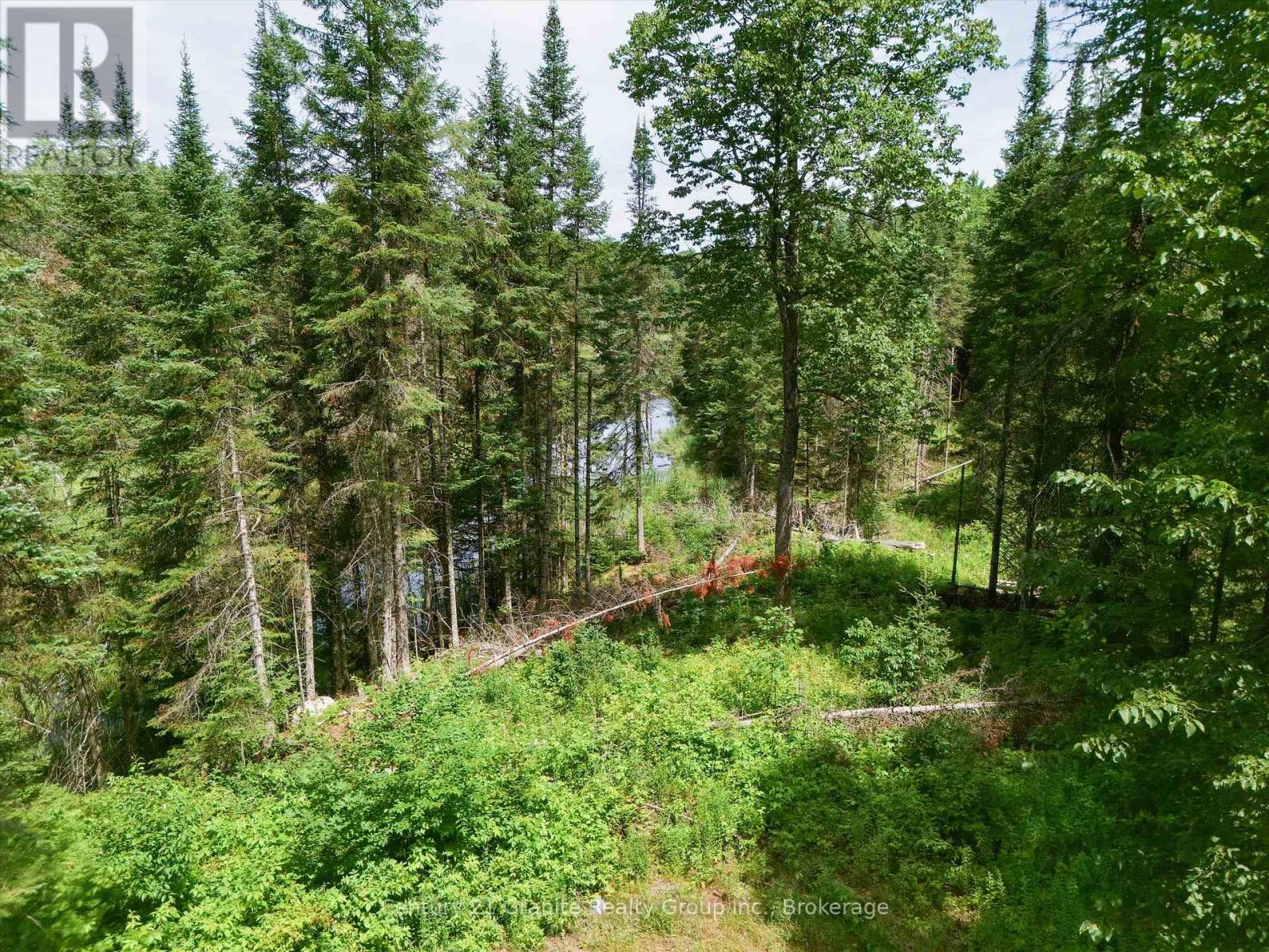 1230 Old Donald Road, Dysart Et Al, Ontario  K0M 1S0 - Photo 12 - X13599722