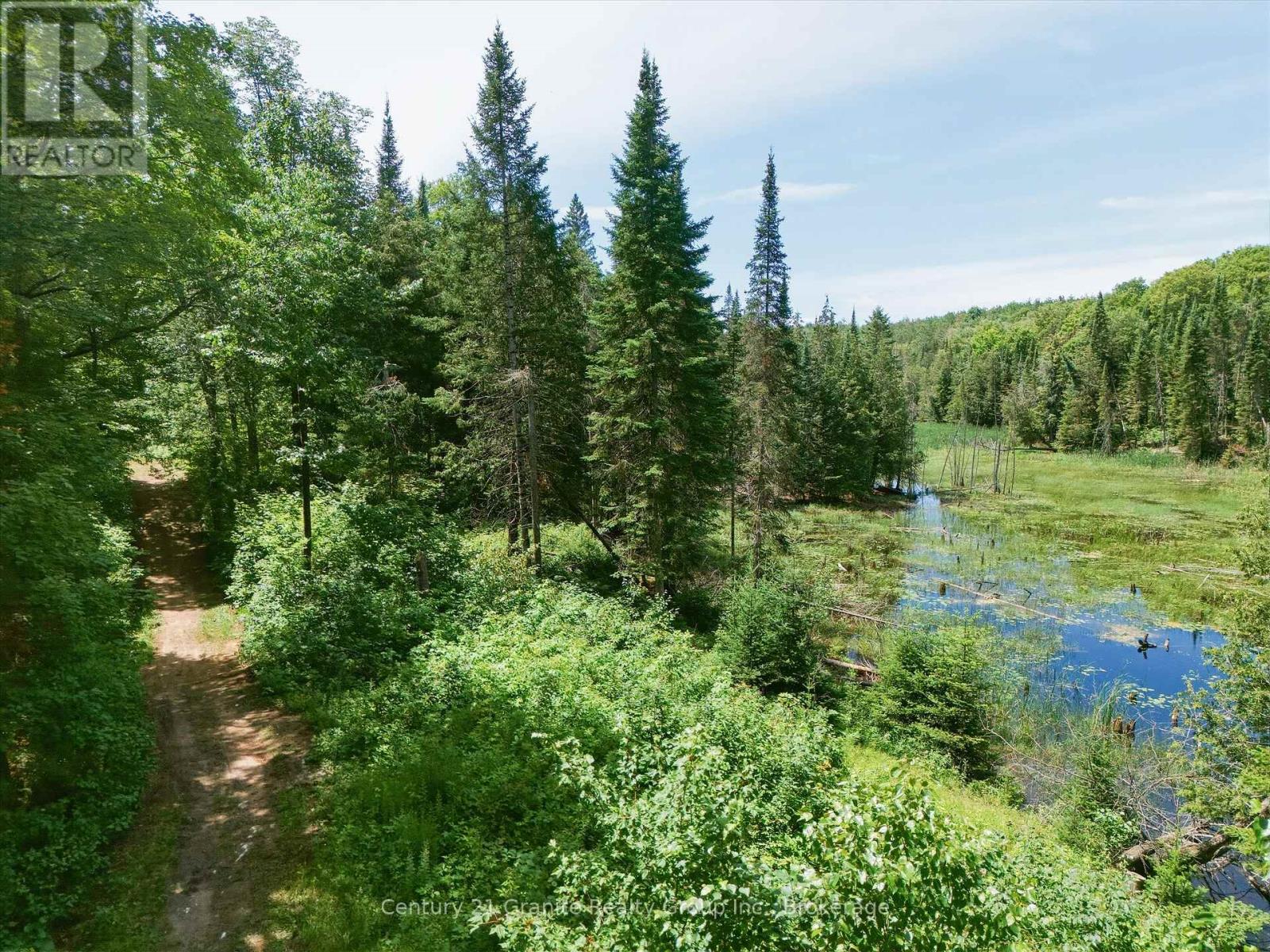 1230 Old Donald Road, Dysart Et Al, Ontario  K0M 1S0 - Photo 13 - X13599722