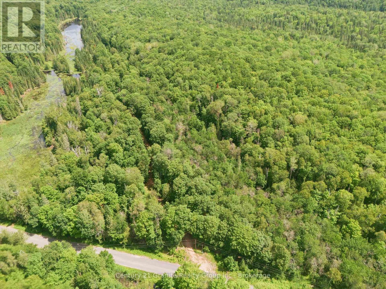 1230 Old Donald Road, Dysart Et Al, Ontario  K0M 1S0 - Photo 14 - X13599722