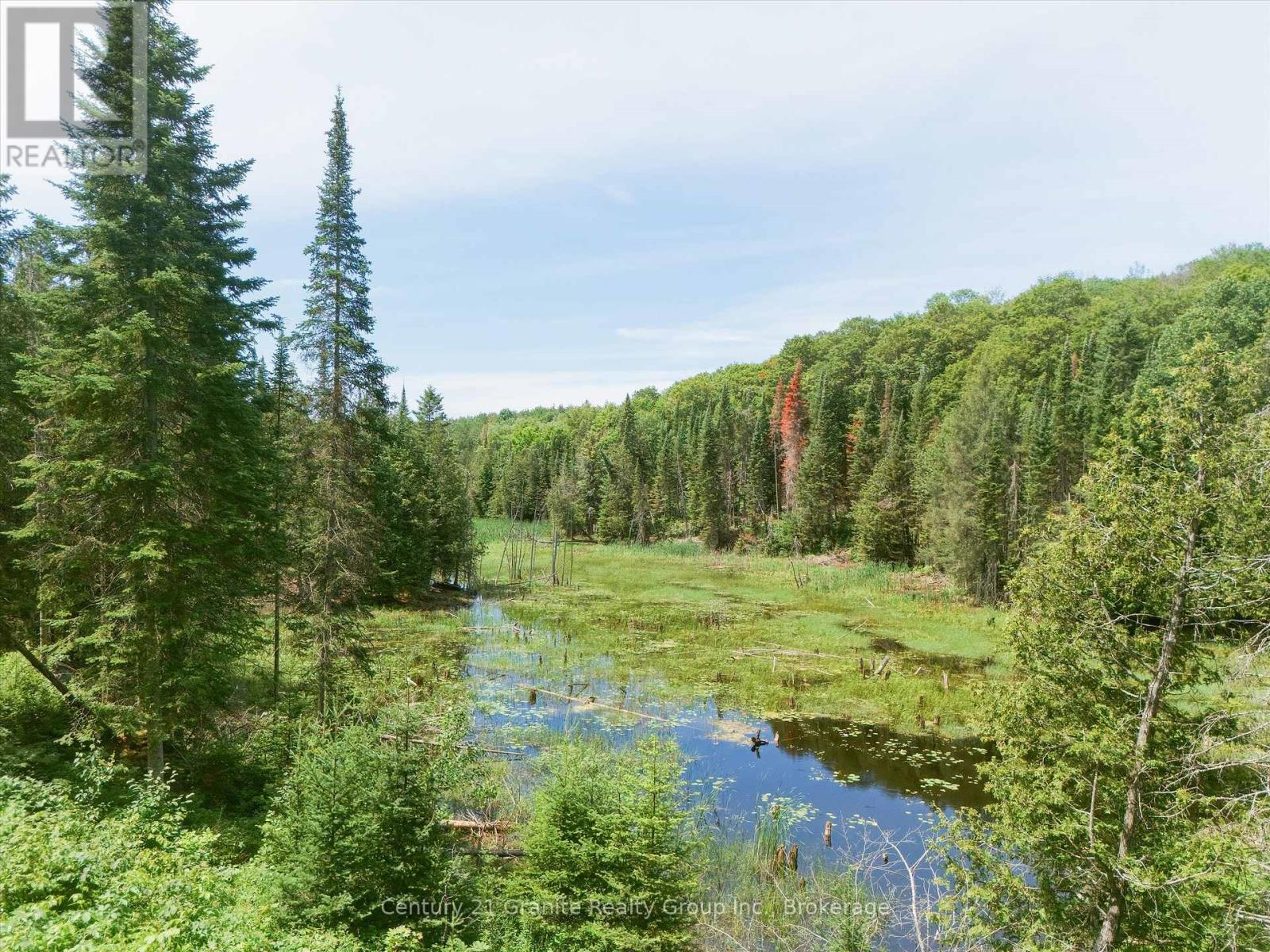 1230 Old Donald Road, Dysart Et Al, Ontario  K0M 1S0 - Photo 18 - X13599722