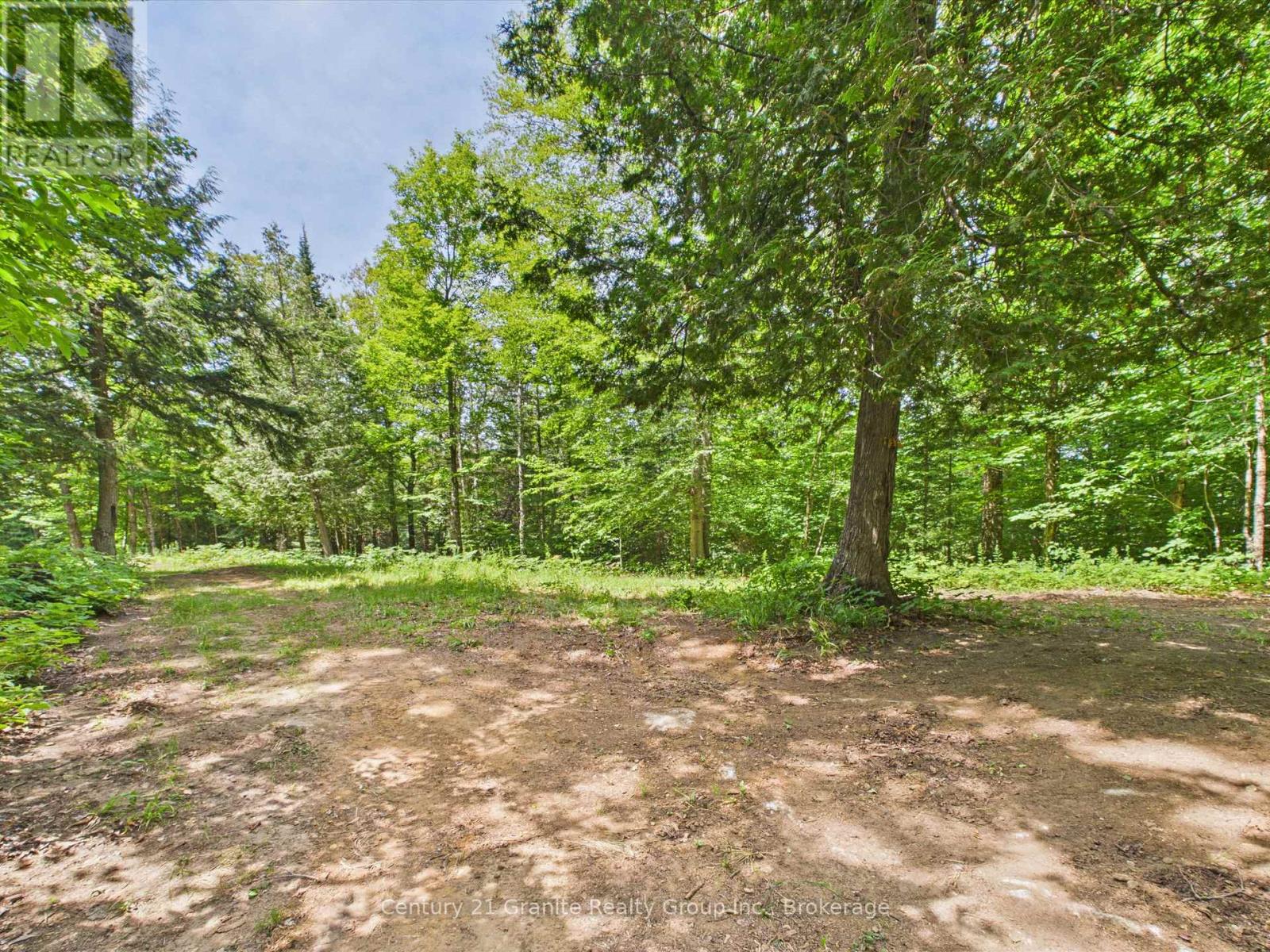 1230 Old Donald Road, Dysart Et Al, Ontario  K0M 1S0 - Photo 2 - X13599722