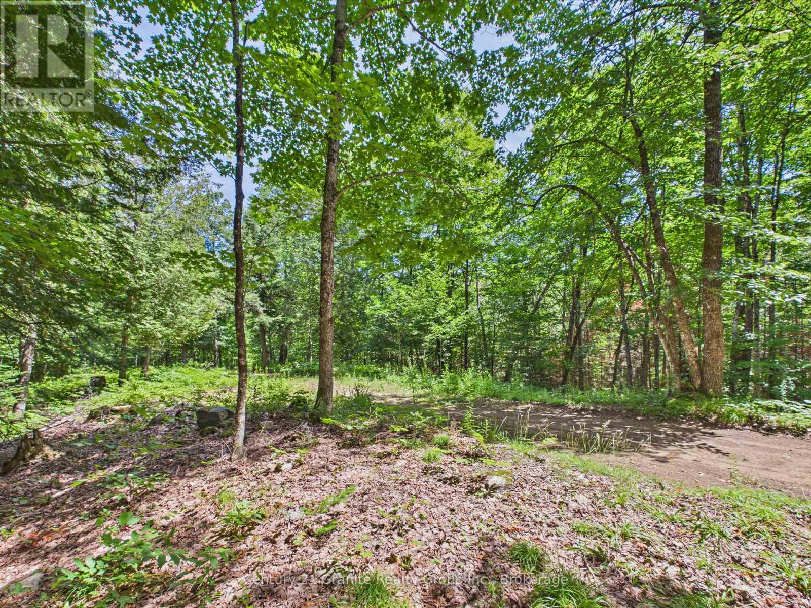 1230 Old Donald Road, Dysart Et Al, Ontario  K0M 1S0 - Photo 3 - X13599722