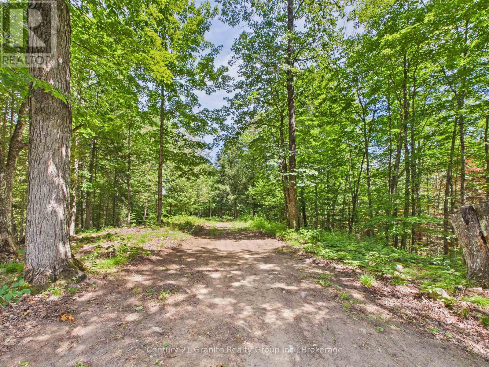 1230 Old Donald Road, Dysart Et Al, Ontario  K0M 1S0 - Photo 5 - X13599722