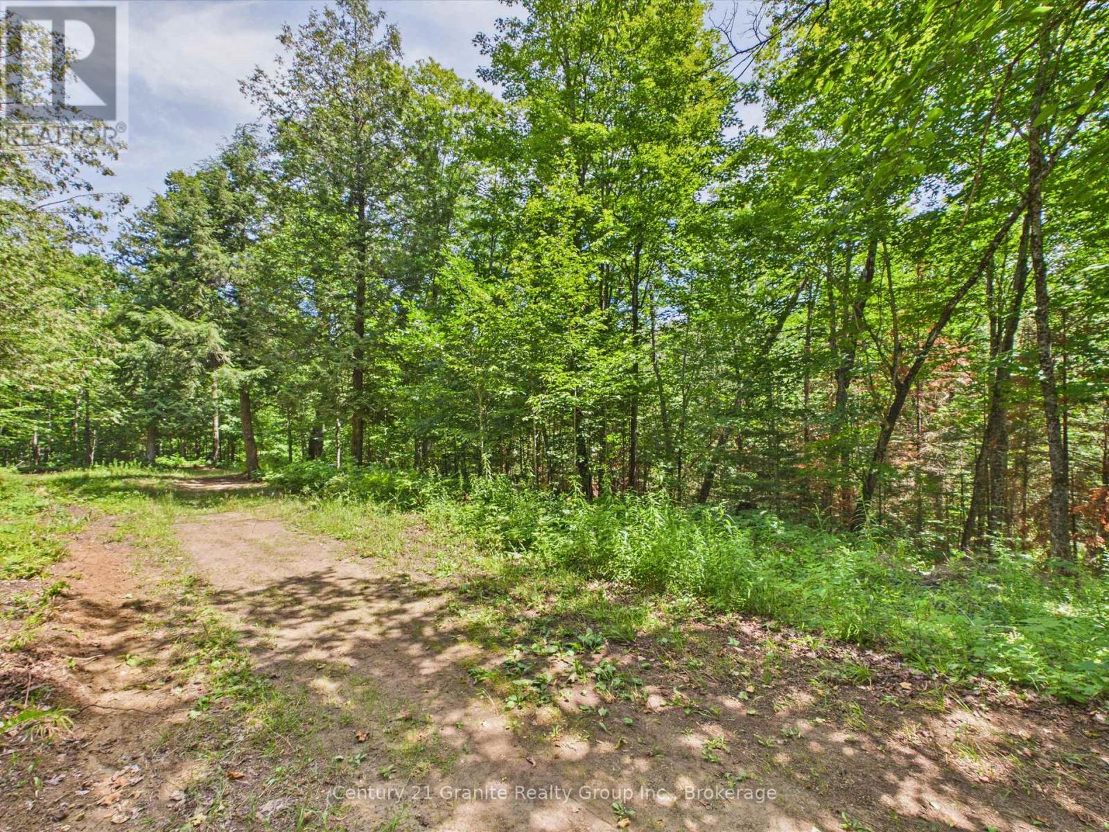 1230 Old Donald Road, Dysart Et Al, Ontario  K0M 1S0 - Photo 6 - X13599722