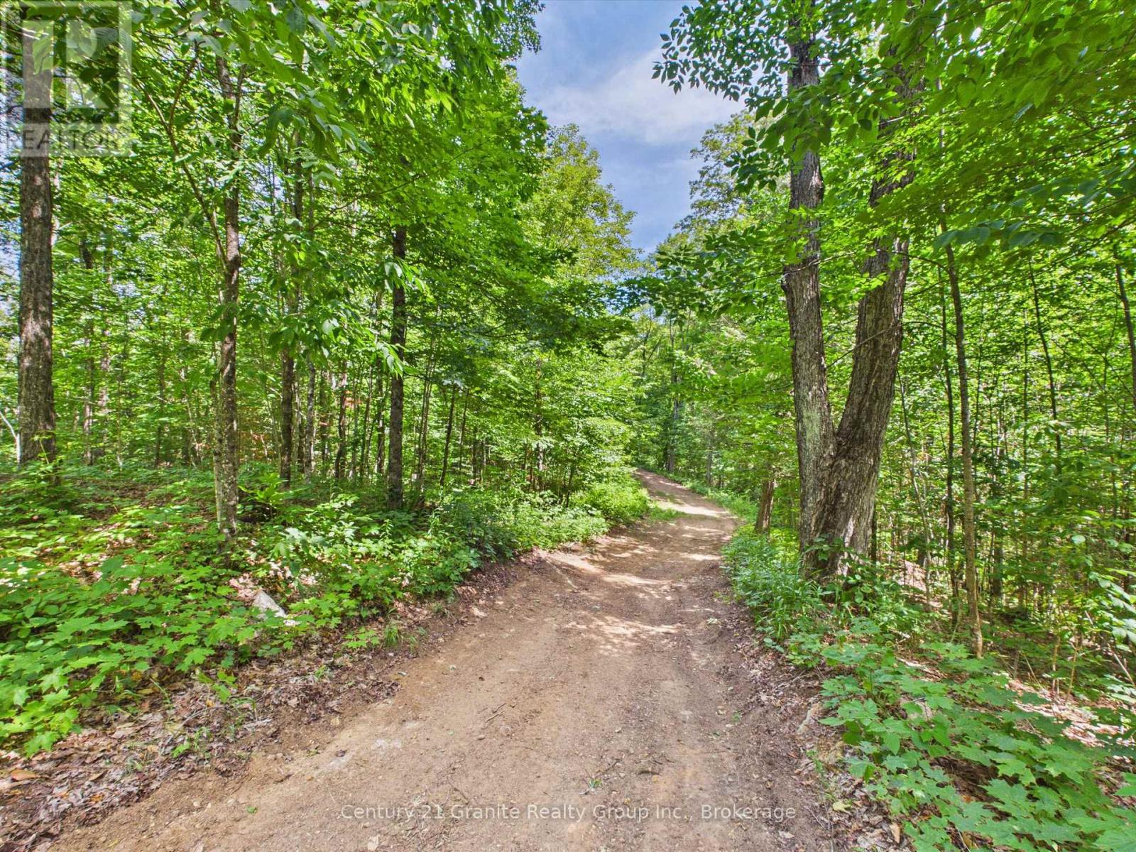 1230 Old Donald Road, Dysart Et Al, Ontario  K0M 1S0 - Photo 7 - X13599722