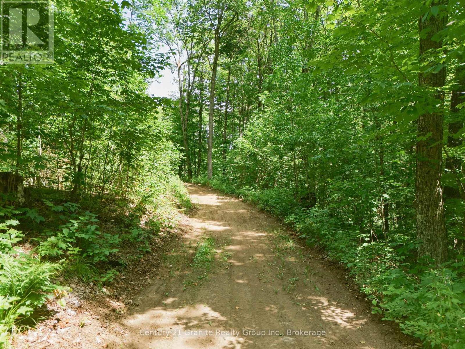 1230 Old Donald Road, Dysart Et Al, Ontario  K0M 1S0 - Photo 8 - X13599722