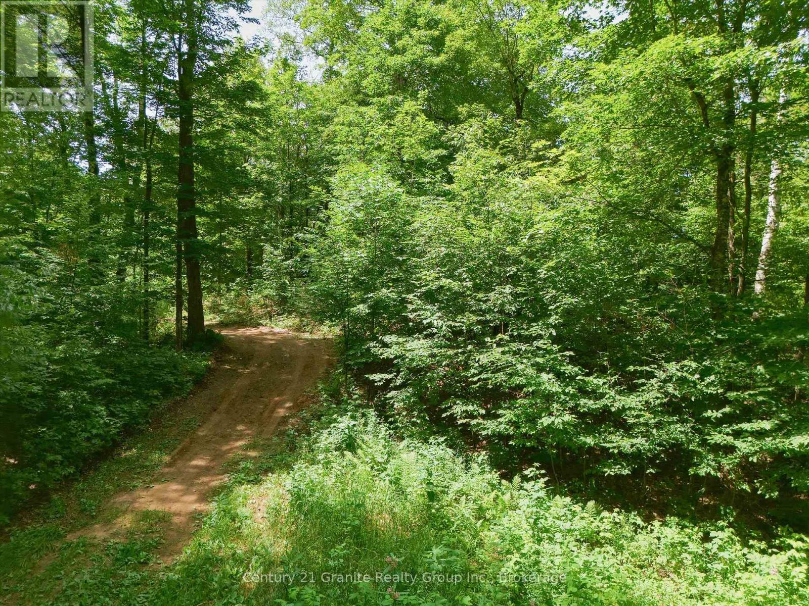 1230 Old Donald Road, Dysart Et Al, Ontario  K0M 1S0 - Photo 9 - X13599722