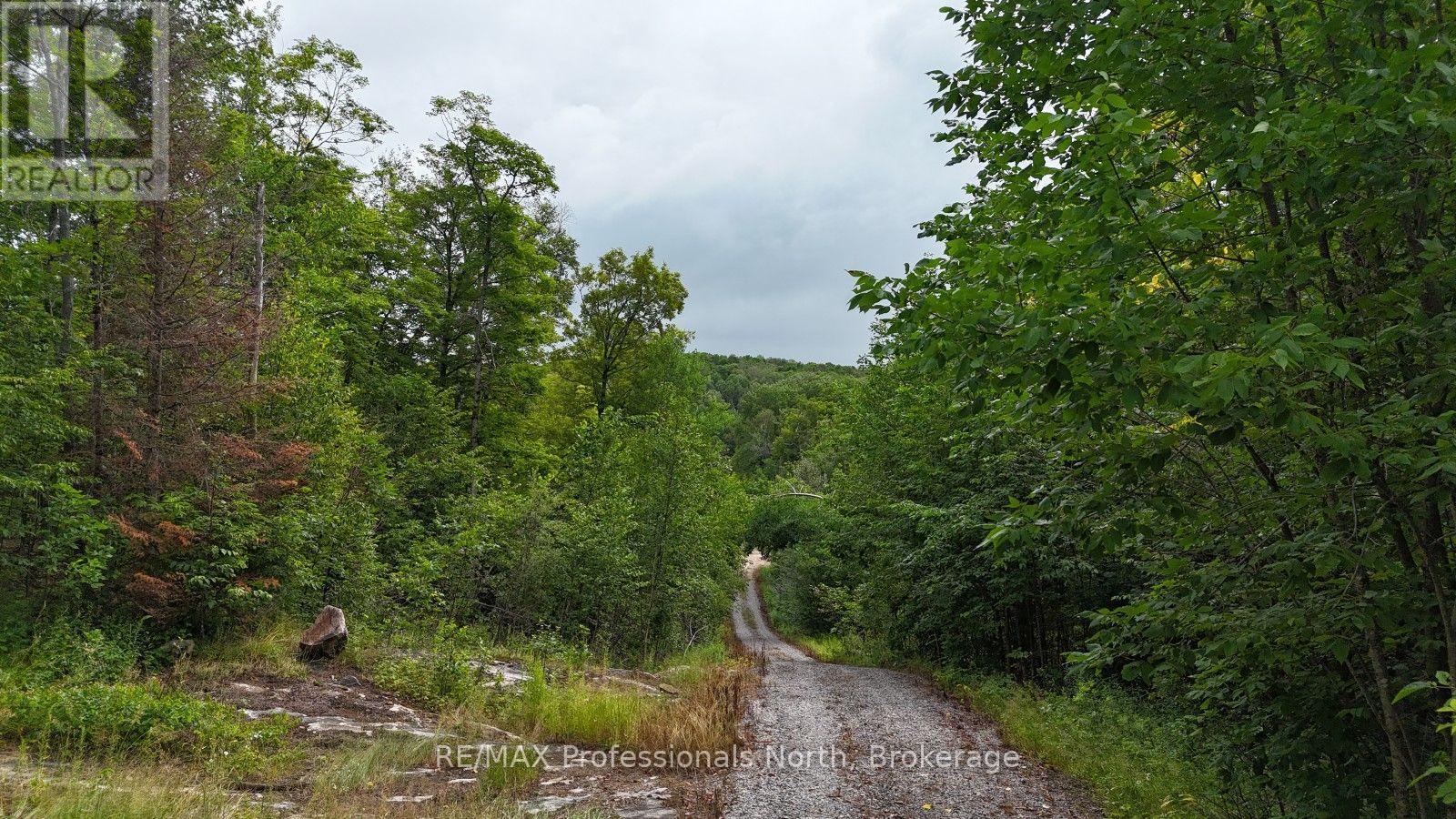 1199 Cedar Lake Road, Highlands East, Ontario  K0L 3C0 - Photo 2 - X13599726