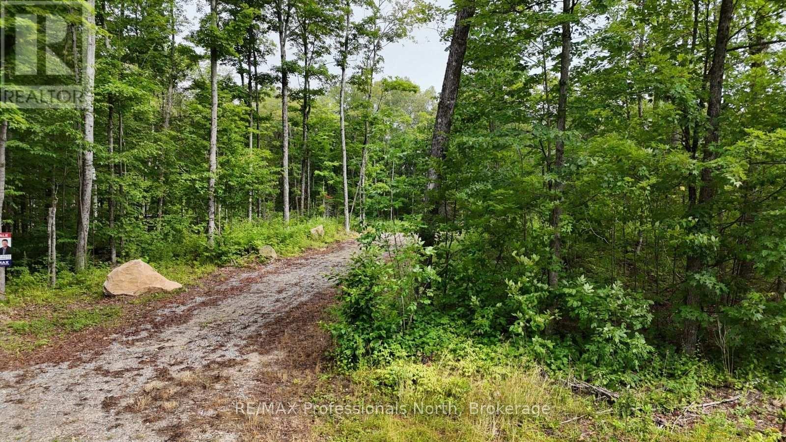 1199 Cedar Lake Road, Highlands East, Ontario  K0L 3C0 - Photo 3 - X13599726