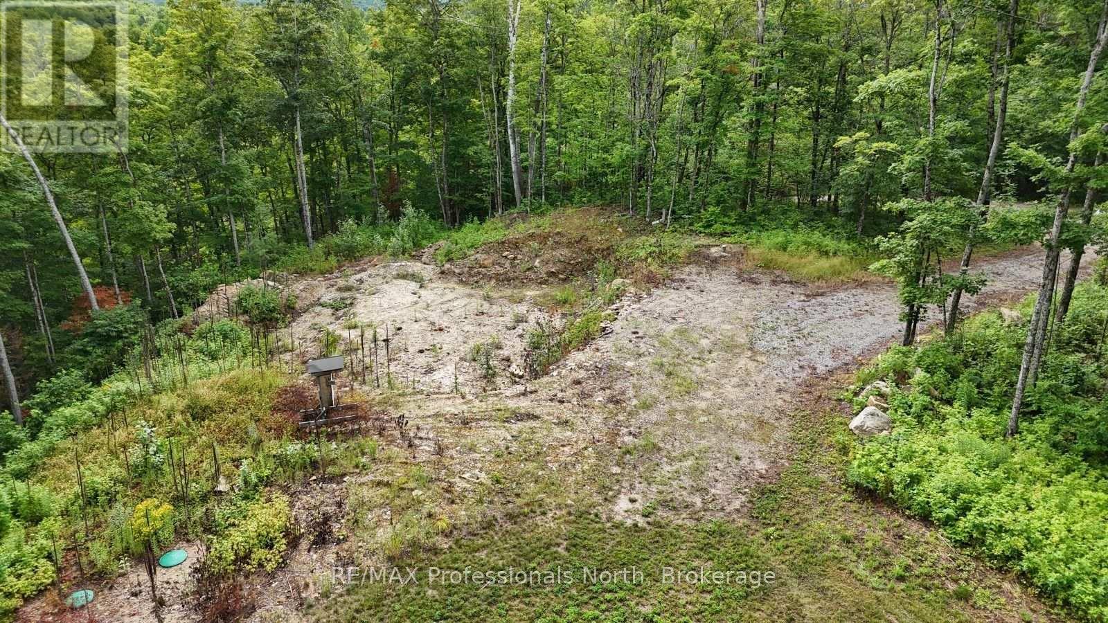 1199 Cedar Lake Road, Highlands East, Ontario  K0L 3C0 - Photo 6 - X13599726