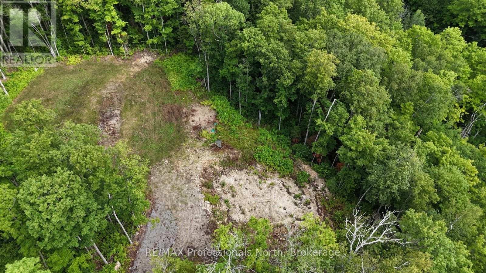 1199 Cedar Lake Road, Highlands East, Ontario  K0L 3C0 - Photo 7 - X13599726