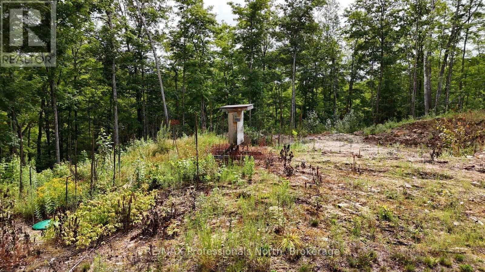 1199 Cedar Lake Road, Highlands East, Ontario  K0L 3C0 - Photo 8 - X13599726