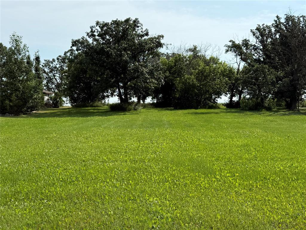 111 Beckville Beach Drive, Alonsa, Manitoba  R0H 0B0 - Photo 2 - 202616754